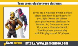 Team cross-play between platforms 